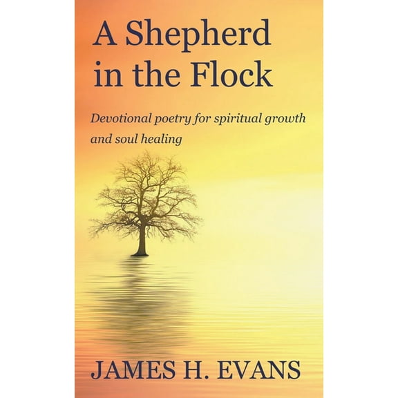 A Shepherd in the Flock, (Paperback)
