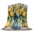 thumbnail image 6 of Vintage Lemon Blanket Soft Cozy Warm Throw Blanket for Couch, Plush Fuzzy Flannel Fleece Blankets for Sofa, Tropical Summer Wooden Bed Blankets Lightweight Gifts for Women, 50"x80", 6 of 9
