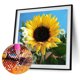 thumbnail image 1 of Cuadros Decorativos Hecho a mano bricolaje completo taladro redondo diamante pintura 5D girasol cartel Tmvgtek embutido en tela, 1 of 9
