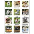 thumbnail image 3 of 2025 AT-A-GLANCE® Puppies Monthly Wall Calendar, 15-1/2" x 22-3/4", Animals, January 2025 To December 2025, DMW16728, 3 of 6