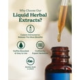 thumbnail image 3 of Extracto líquido de bálsamo de limón Herb Pharm, 30 ml, sistema nervioso, 3 of 8