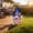Multicolor-B-Bright as New York's neon nights—on clearance, hand the whole rainbow to someone you love., variant on AuroraX Garden Stakes Yard Art Patriotic Decorative Gnome Outdoor Outdoor Decorations