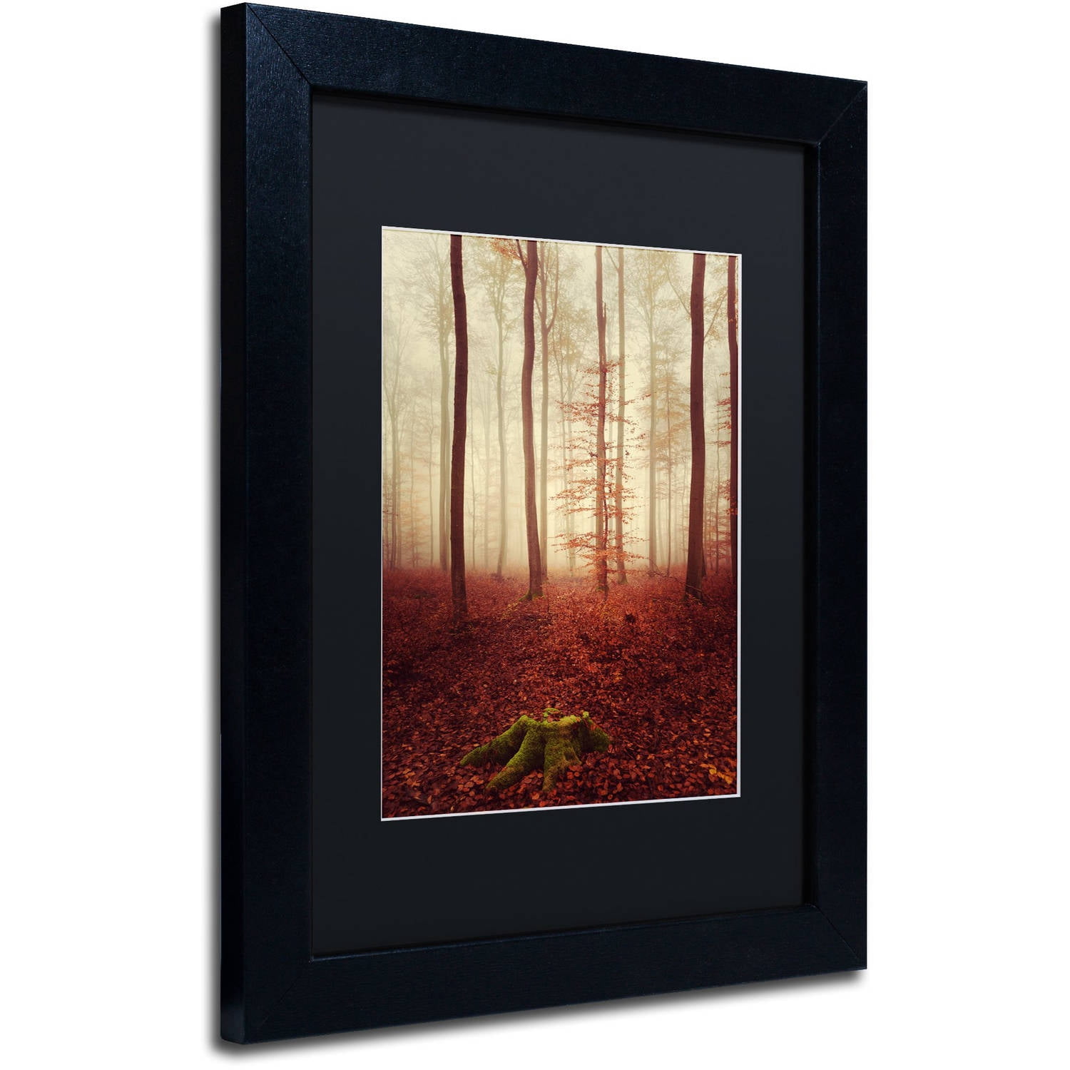 Trademark Fine Art "Land of the Free" Canvas Art by Philippe Sainte-Laudy Black Matte, Black Frame