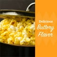 thumbnail image 3 of Franklin's Popcorn Gourmet Butter Flavored Seasoning Salt, 19 oz, 3 of 7