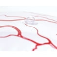 thumbnail image 3 of Beistle Party Decoration Inflatable Eyeball 16""- Pack of 12, 3 of 4