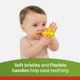thumbnail image 5 of Colgate Baby Toothbrush and Teether, Bpa Free, 2 Count, 5 of 11