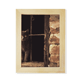 thumbnail image 1 of Animal Corner Cat Photograph Picture Desktop Adorn Photo Frame Display Art Painting Wooden, 1 of 3