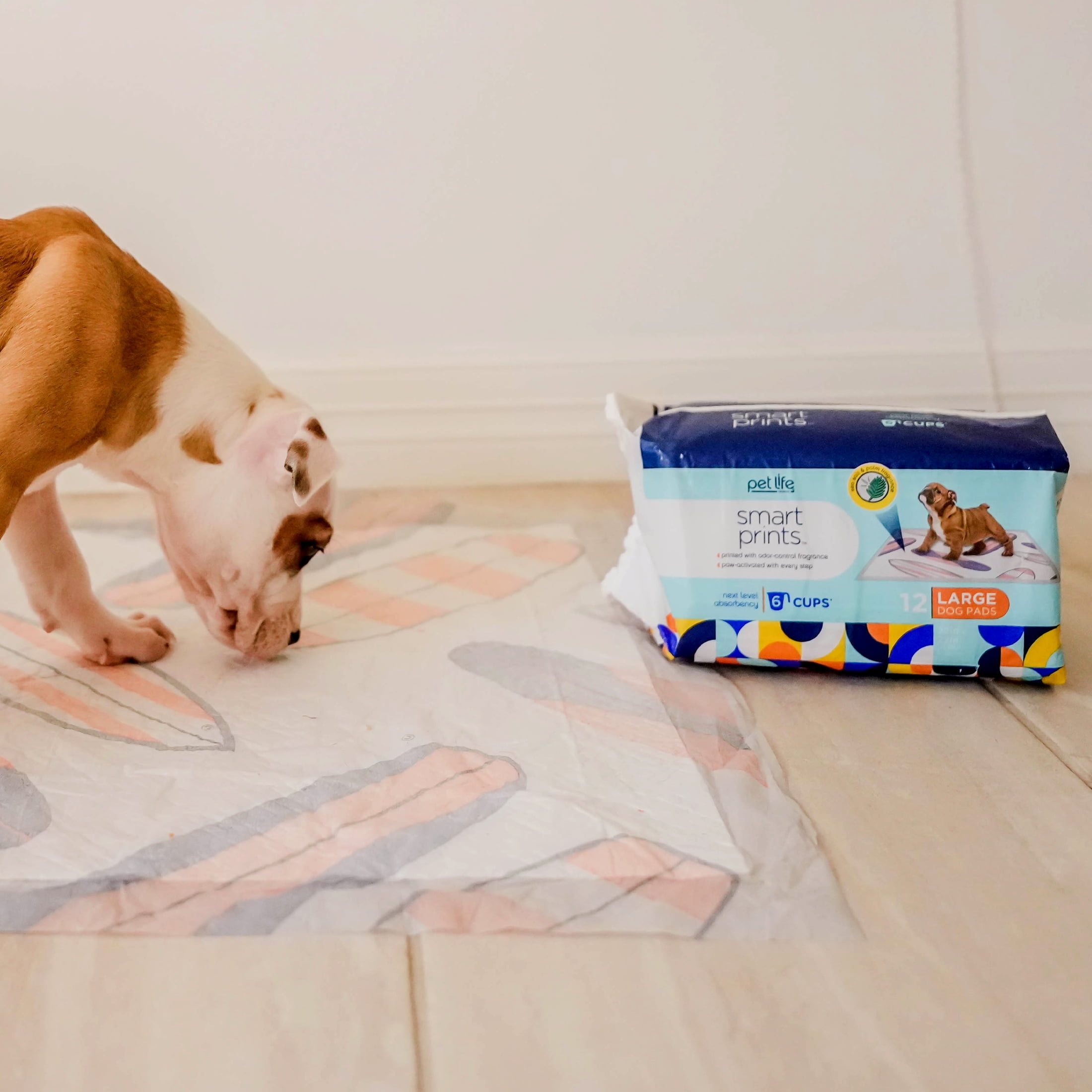 (4 pack) Pet Life Unlimited Smart Prints Dog Pads, Summer Surf's Up Print, 12ct