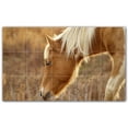 thumbnail image 1 of Picture-Tiles.com: Horse Ceramic Tile Wall Mural WAL500758-53XL. 60"W x 36"H using (15) 12" x 12" Ceramic Tiles-Satin Finish, 1 of 3