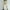 c01Yellow, variant on LNWUY Men's Multiple Pockets Cargo Pants Water-Proof Stretch Tactical Hiking Trousers Outdoor Relaxed Fit Straight Cut Work Pants Green* XXXL