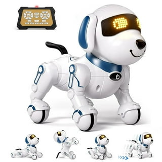 Robot Cat Toy For Boys And Girls, Interactive Remote Control Kitty Toys For  Kids With Program, Music, Sound, Led, Little Girl Gifts Rc Pet For Birthda