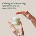 thumbnail image 3 of Crema hidratante Pyunkang Yul Calming 100 ml, vegana, 3 of 9