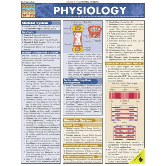 Pre-Owned Physiology (Paperback) 1572227915 9781572227910