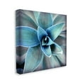thumbnail image 3 of Stupell Modern Close Up Plant Leaves Botanical & Floral Photography Gallery Wrapped Canvas Print Wall Art, 3 of 7