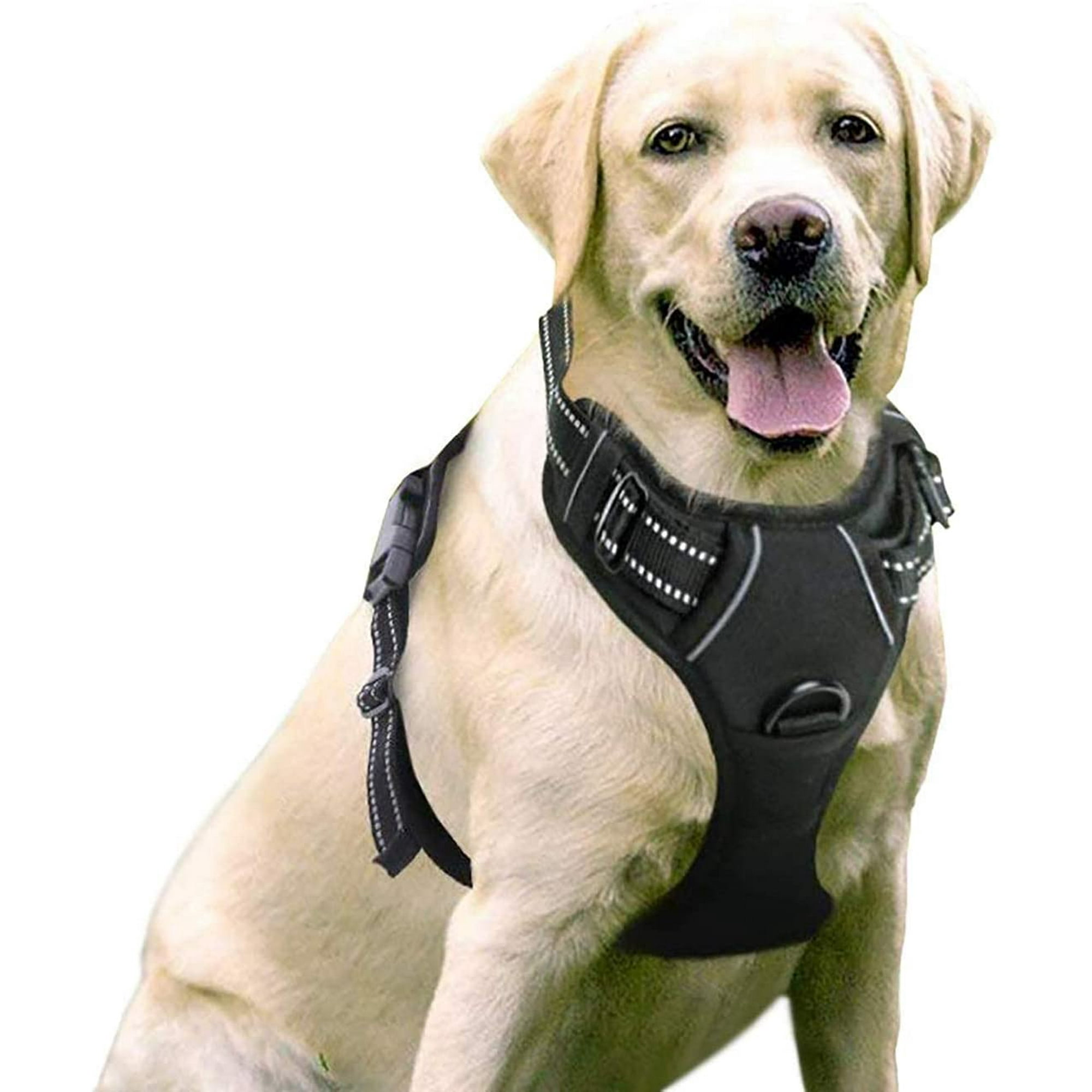 IGUOHAO Dog Harness Dog Training Collar with Remote Adjustable No Pull Dog Vest with Leash Clips L 3 Modes Beep Vibration Shock Rechargeable