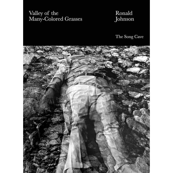 Valley of the Many-Colored Grasses (Paperback)