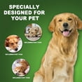 thumbnail image 1 of Traitement des Infections Urinaires pour Chat et Chien, Médicament Naturel, 1 of 1