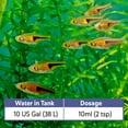 thumbnail image 4 of (2 pack) Aquarian By API Cloudy Water Fix 8 oz. Bottle, 4 of 11