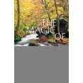 thumbnail image 3 of The Magic of Awareness, 3 of 3