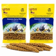 Birds LOVE® Economy Spray Millet for Birds, 7 oz, GMO-Free Natural Millet Spray Treat, Stem-Reduced Edible Tops, Grown in USA, for Parakeets, Cockatiels, Lovebirds, Finches, Canaries -Pack of 2