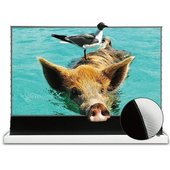 VIVIDSTORM S PRO Motorized Tension Floor Rising UST ALR Projector Screen