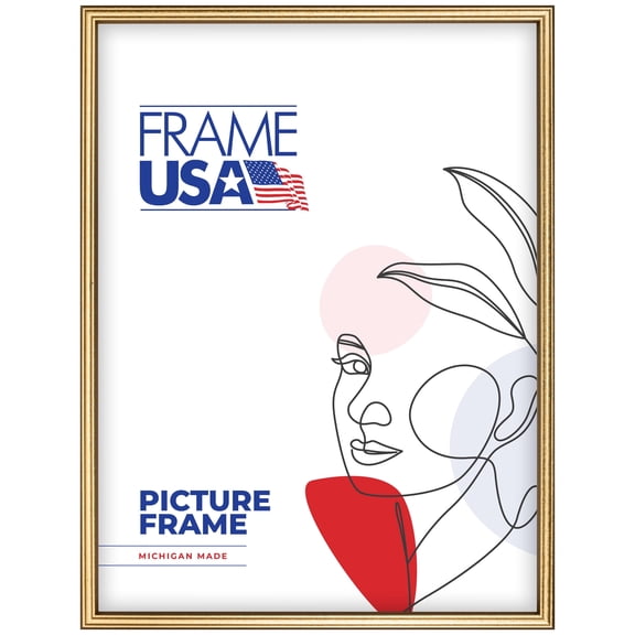 18x24 Picture Frame Gold Economy, 11123-563-138, 0.75 Inch Wood, Plexiglass, Wall Display