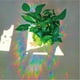 thumbnail image 3 of Adhesivo de vinilo para ventana con latidos del corazón, 19 cm x 8,2 cm, 3 of 3