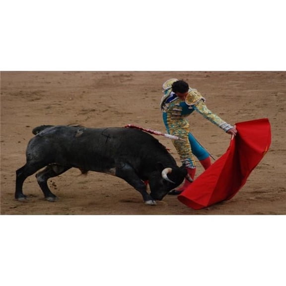 Matador Bull Fighter Photo License Plate