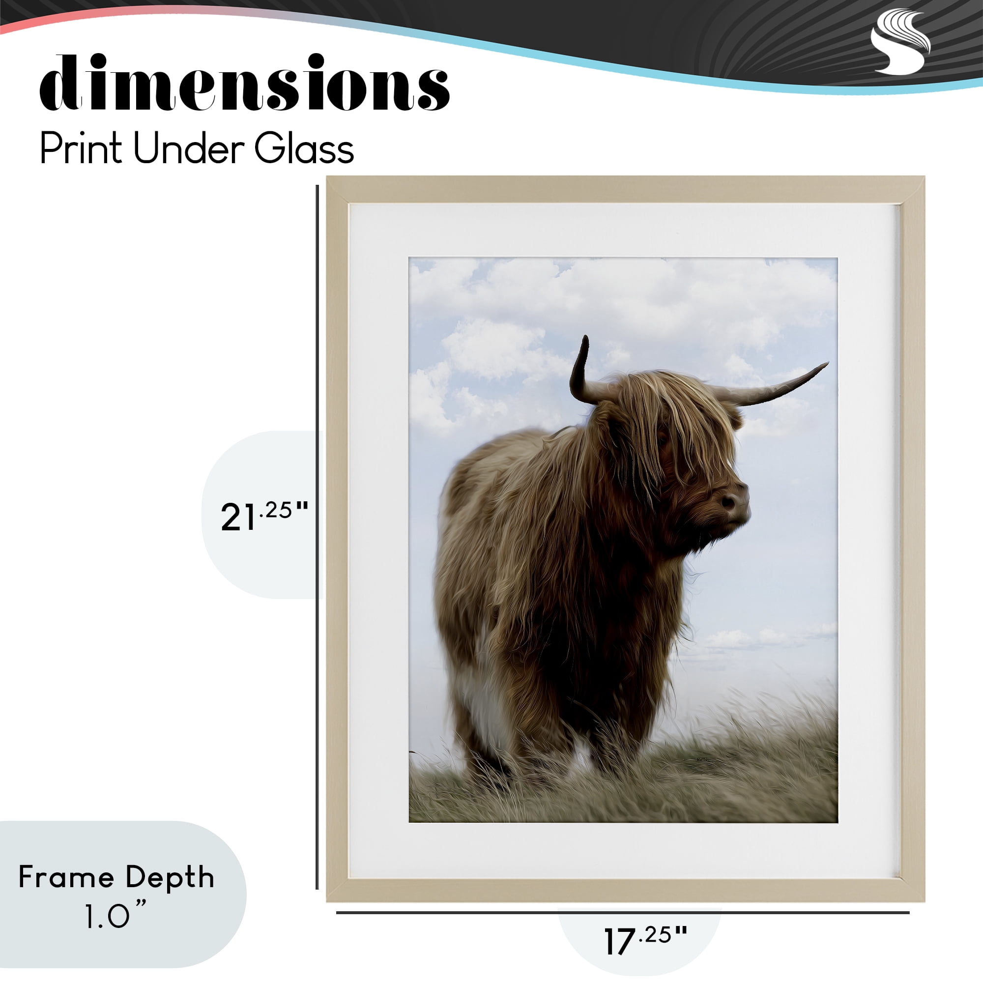 Stupell Industries Restful Look Highland Cattle Birch Framed Print Under Glass, design by Marcus Prime