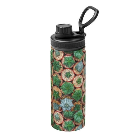 

Hirioo Cactus 4 for 18oz Sports Insulated Kettle for Gym Hiking Camping Running Mountain Bike Outdoor Sports