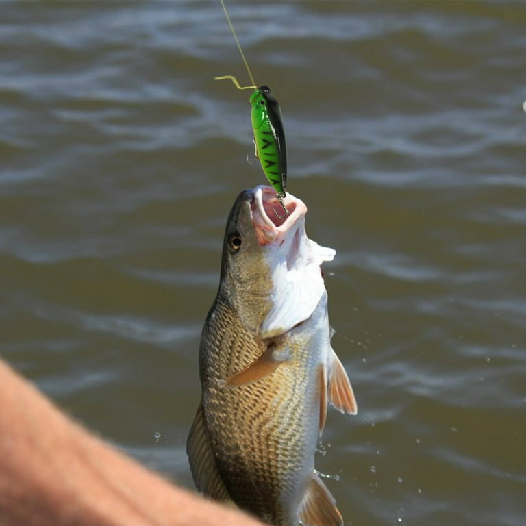  Lake Water Fishing Lures