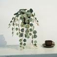 thumbnail image 4 of Plante de verdure de Lerman Decor, 4 of 4