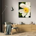 thumbnail image 3 of Karyn Millet 13x18 Gallery Wrapped Canvas Wall Art Titled - Peony Japonica I, 3 of 4