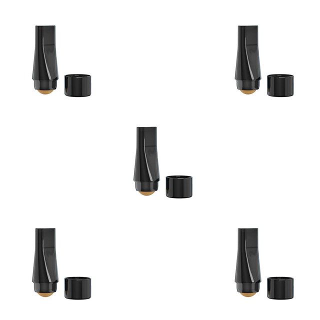 Seitruly Rodillo absorbente de aceite facial DIY Grasa Cuidado de la piel Absorción de rodillos faciales Limpieza de piedra Manual Removedor lavable Type2 NO2 Seitruly CBP214105