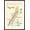 Brown Frame, variant on Art.com Map of French Bourgogne Wine Country Art Print, 12" x 18"