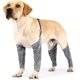 thumbnail image 2 of Pet Dog Four-Leg Sleeve,Dog Leg Protective Covers Anit-dust/Prevent Urine Splash,Doggy Sling Four-Legged Pants for Small Medium Large Breeds,Dog Boxer, 2 of 4