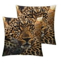 thumbnail image 2 of COMIO Throw Pillow Covers,Pillow Cases, 2Pcs,Jungle Animal Leopard Pattern White, 2 of 6