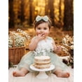 thumbnail image 2 of 2Bunnies Baby Toddler Girls' 6M-3T 3D Flower Petal Bow Tie-Back Bow Dress, 2 of 3