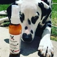 thumbnail image 6 of Warren London Dog Sunscreen | Aloe Vera Leave In Conditioner with Sun Protection for Dogs, Puppies, & Pets, 6 of 7