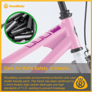 Royalbaby Freestyle 18 Kids Bicycle for Boys Girls, Ages 6-9 Years, Pink