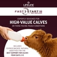 thumbnail image 2 of ANNUSO LIFELINE Fast Start 18 Calf Milk Replacer 24:20, 25lb Bag - All-Milk Formula with LifePulse & Gammulin - Immune, Gut & Respiratory Support - No Artificial Flavors, Easy Mix for Calves, 2 of 7