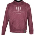 thumbnail image 2 of Men's ProSphere Maroon LLU Lions Alumni Name Drop Pullover Hoodie, 2 of 3