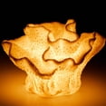 thumbnail image 4 of Aria Home Modern Coral Cluster Table Lamp, Bedroom and Living Room Decorative Accent, Brown, 4 of 9