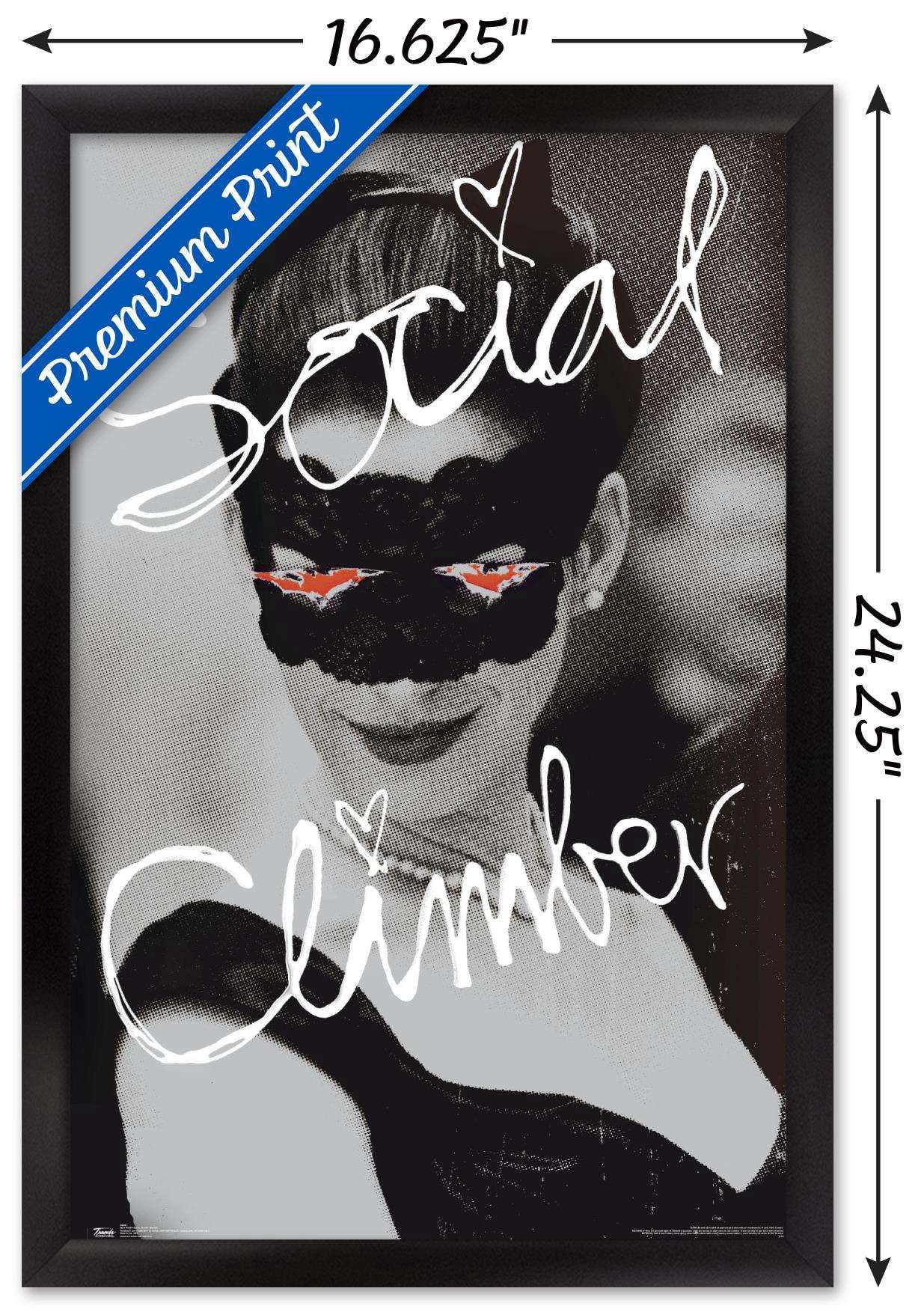 DC Comics Movie - The Dark Knight Rises - Catwoman - Social Climber Wall Poster, 14.725" x 22.375", Framed