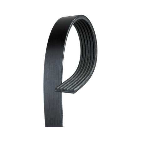 AC Delco 6K915 Serpentine Belt