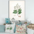 thumbnail image 2 of Designart 'Ancient Botanicals XII' Farmhouse Framed Canvas Wall Art Print, 2 of 5