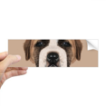thumbnail image 1 of Brown Cute St.Bernard Dog Pet Animal Rectangle Bumper Sticker Notebook Window Decal, 1 of 1