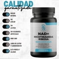 thumbnail image 4 of NAIMA NAD+ Nicotinamida Ribosa | Suplemento Avanzado con Resveratrol, Quercetina, Betaína y Extracto de Semillas de Uva | 30 días, 4 of 5
