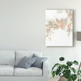 thumbnail image 3 of Trademark Fine Art 'Roseus III' Canvas Art by June Erica Vess, 3 of 4