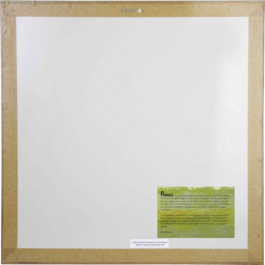 Parvez Michel Inc Parvez Taj 'White Flower Squared' Painting Print on Brushed Aluminum